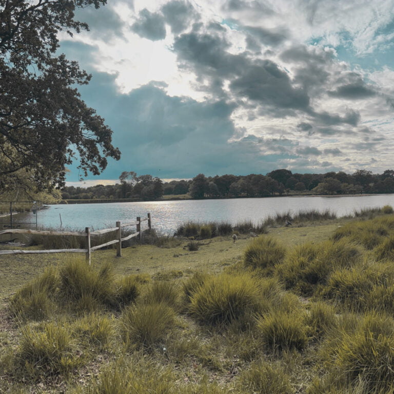 Pen ponds - Richmond Park