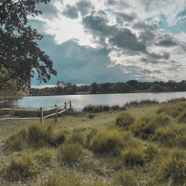 Pen ponds - Richmond Park