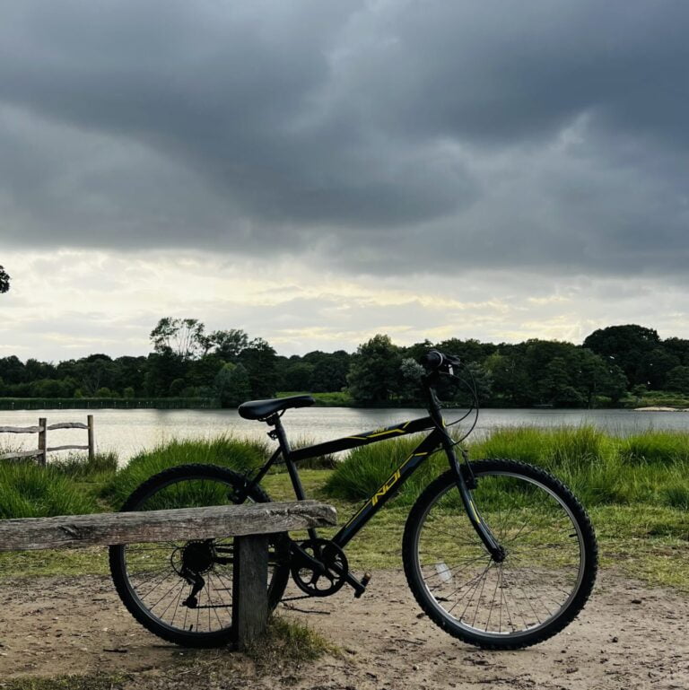 Pen ponds - Richmond Park