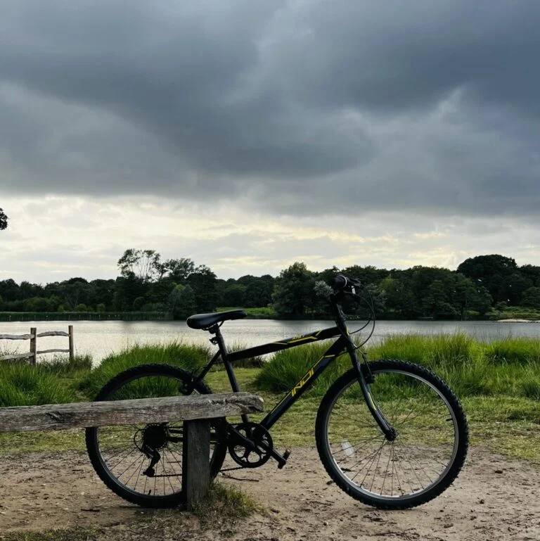 Pen ponds - Richmond Park