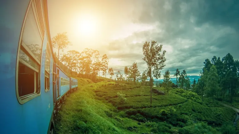 Kandy to Ella Train ride