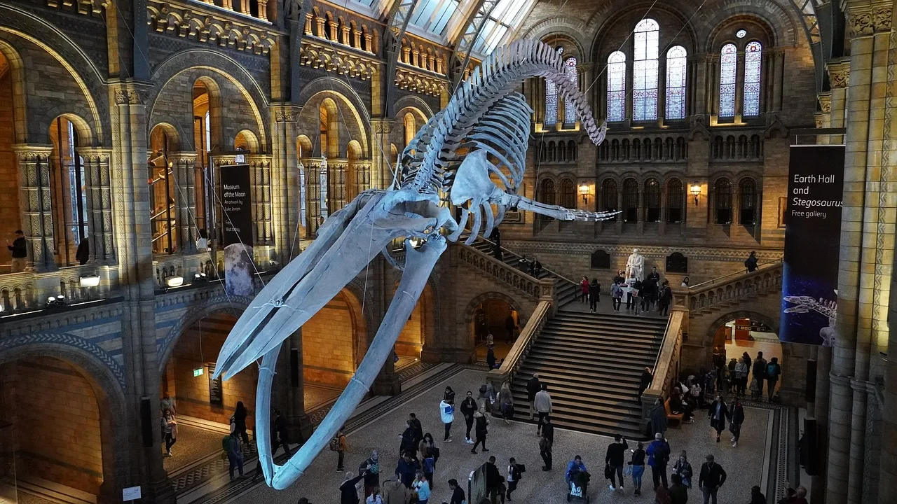 Top Ten Free Attractions In London