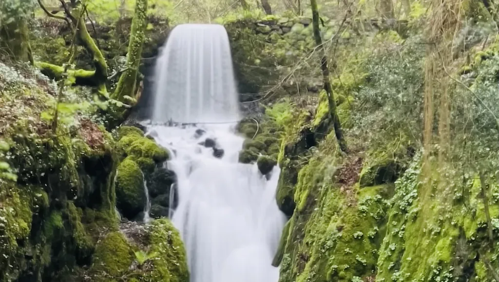 Places to Visit in Devon - Canonteign Falls